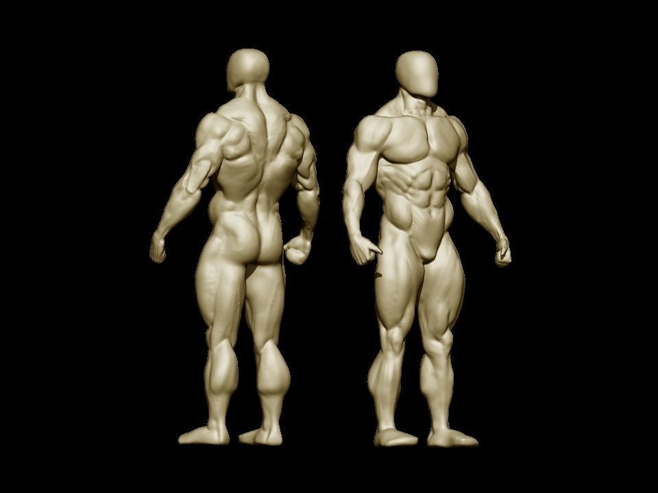 bodybuilder human body Low-poly 3D model_29