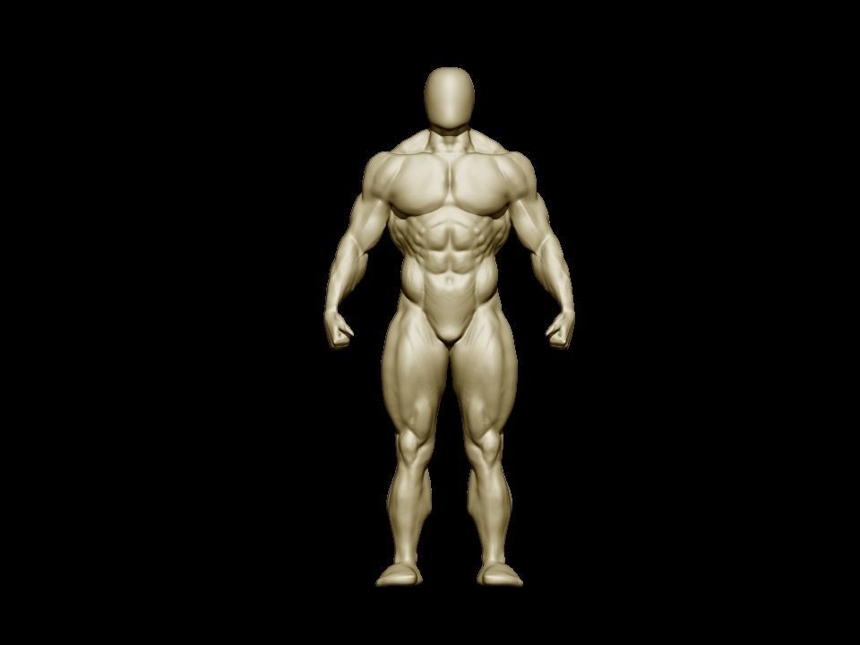 bodybuilder human body Low-poly 3D model_2