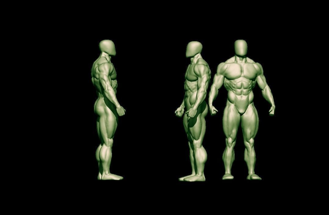 bodybuilder human body Low-poly 3D model_38
