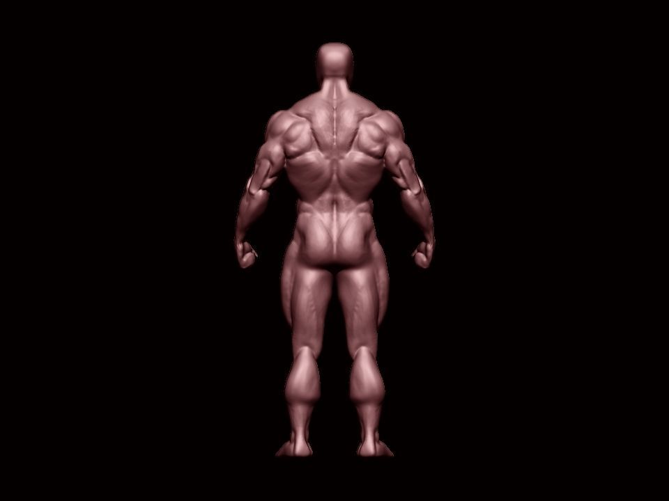 bodybuilder human body Low-poly 3D model_4