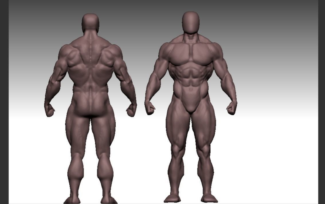 bodybuilder human body Low-poly 3D model_12