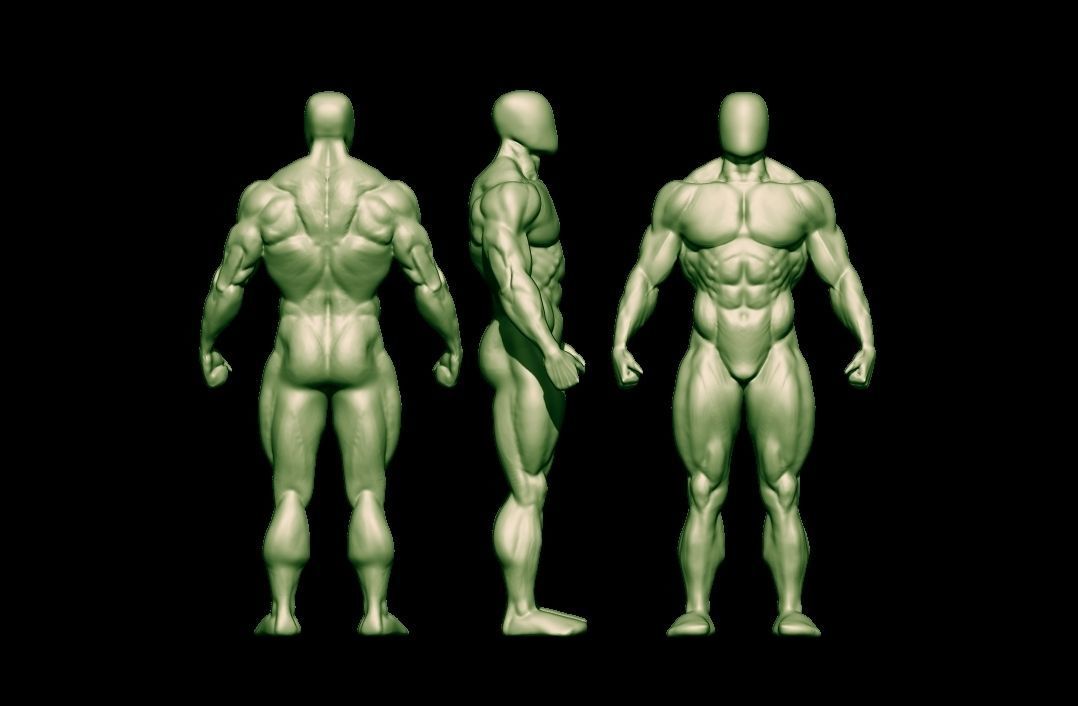 bodybuilder human body Low-poly 3D model_34