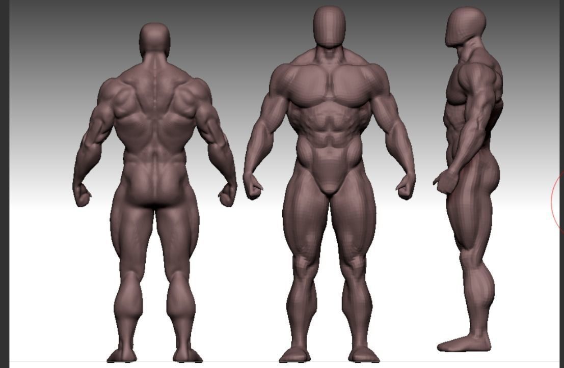 bodybuilder human body Low-poly 3D model_10