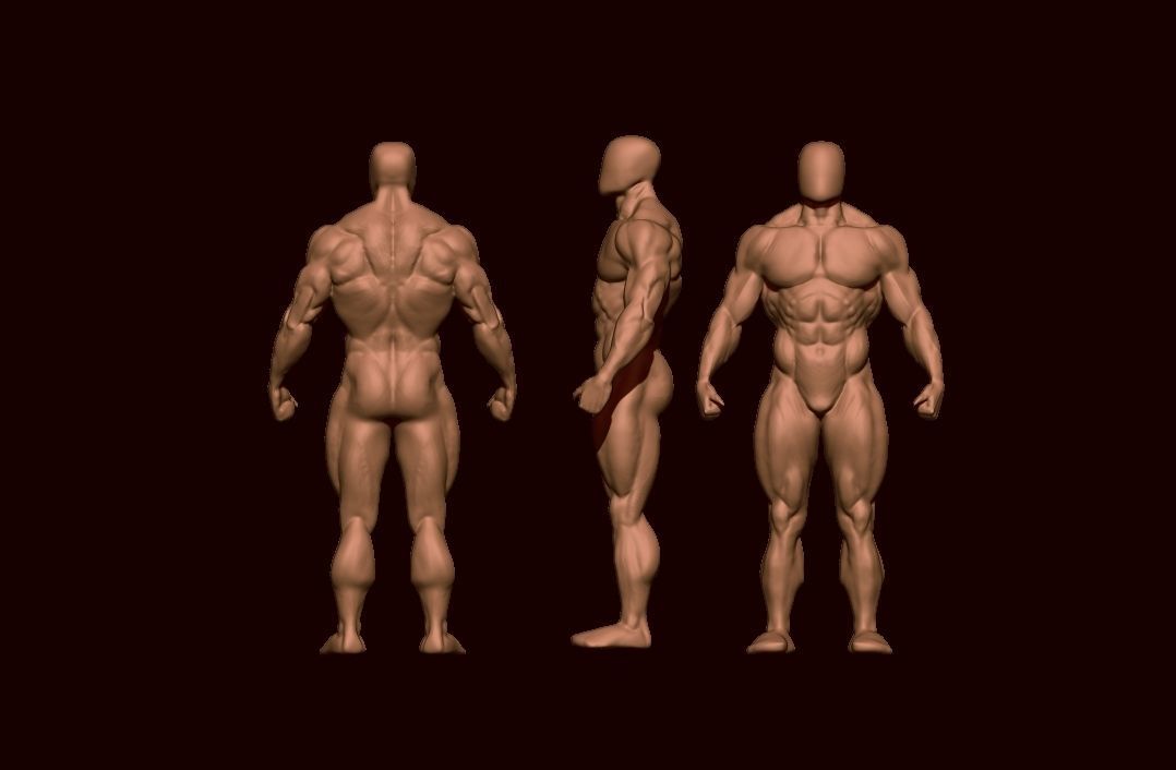 bodybuilder human body Low-poly 3D model_41
