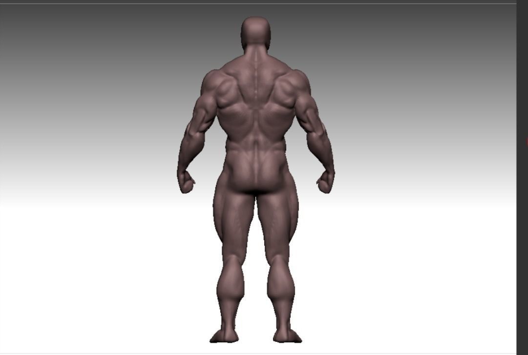 bodybuilder human body Low-poly 3D model_13