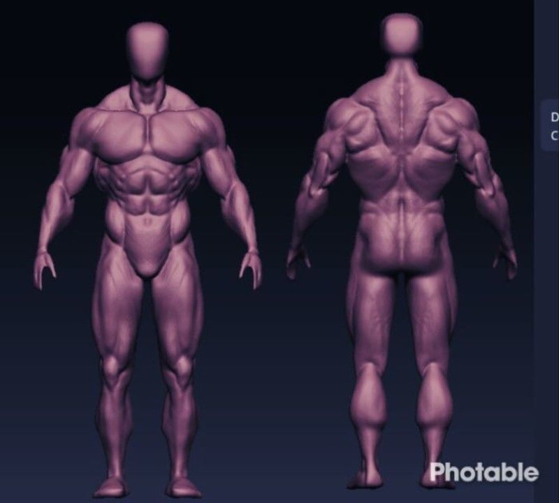 bodybuilder human body Low-poly 3D model_9