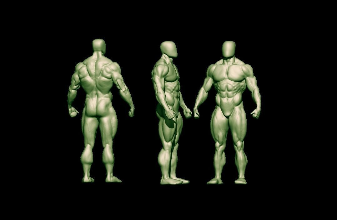bodybuilder human body Low-poly 3D model_39