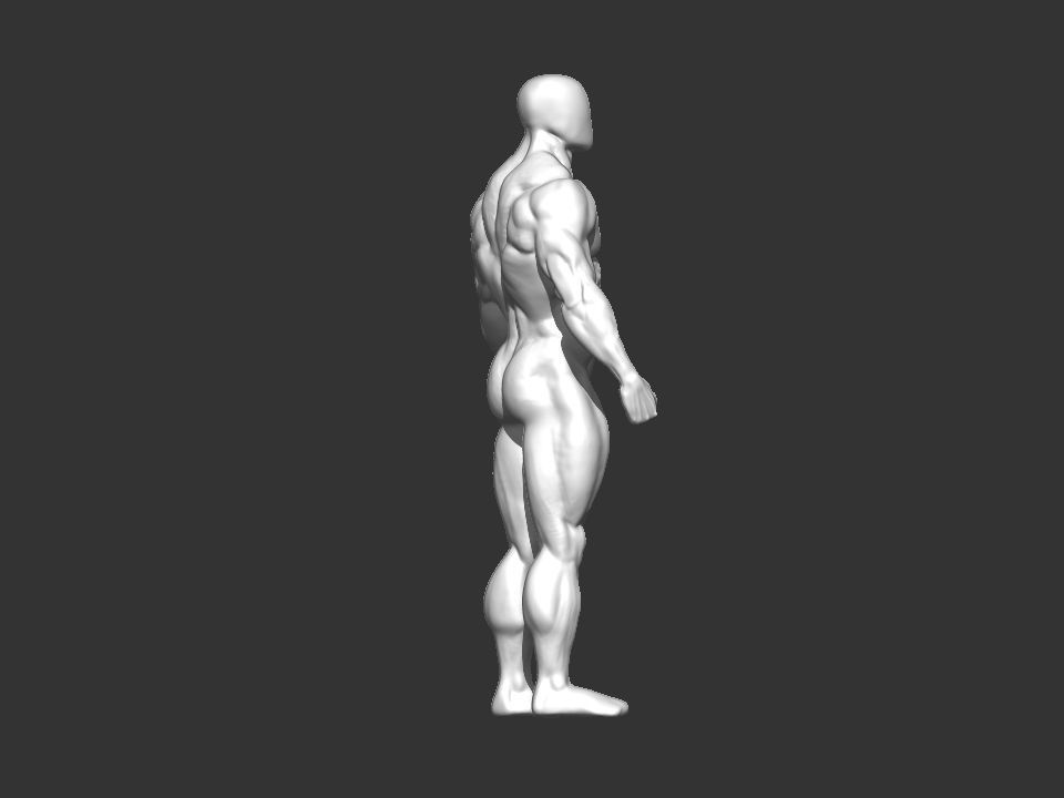 bodybuilder human body Low-poly 3D model_25