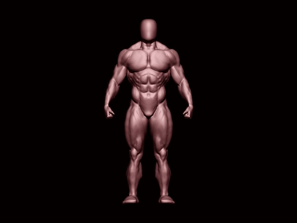 bodybuilder human body Low-poly 3D model_3