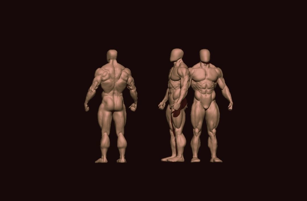 bodybuilder human body Low-poly 3D model_42