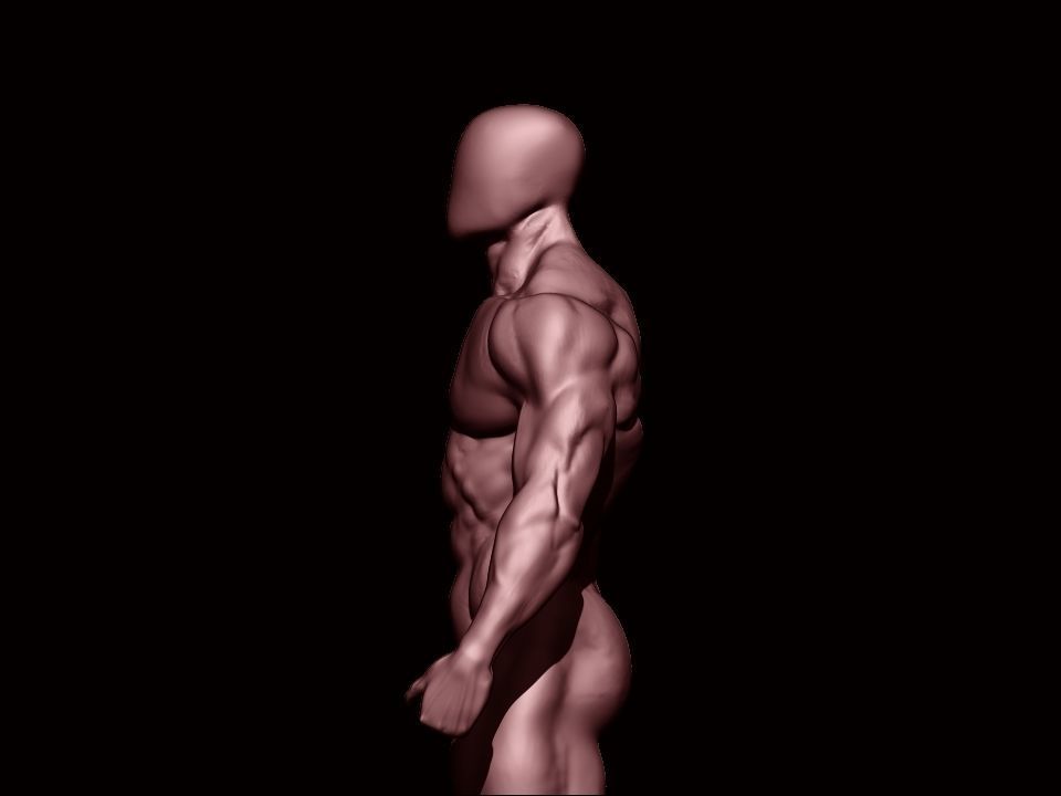 bodybuilder human body Low-poly 3D model_16
