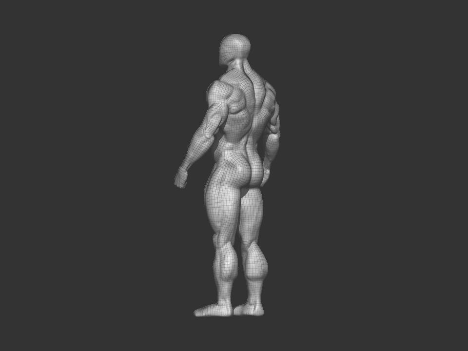 bodybuilder human body Low-poly 3D model_26