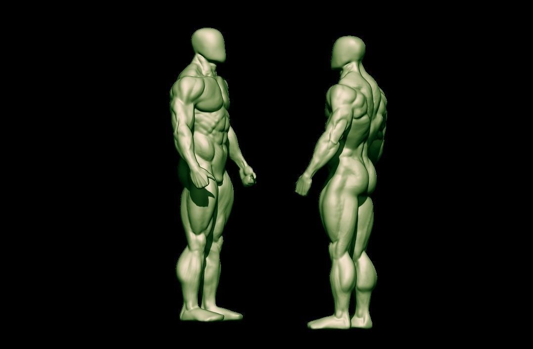 bodybuilder human body Low-poly 3D model_31