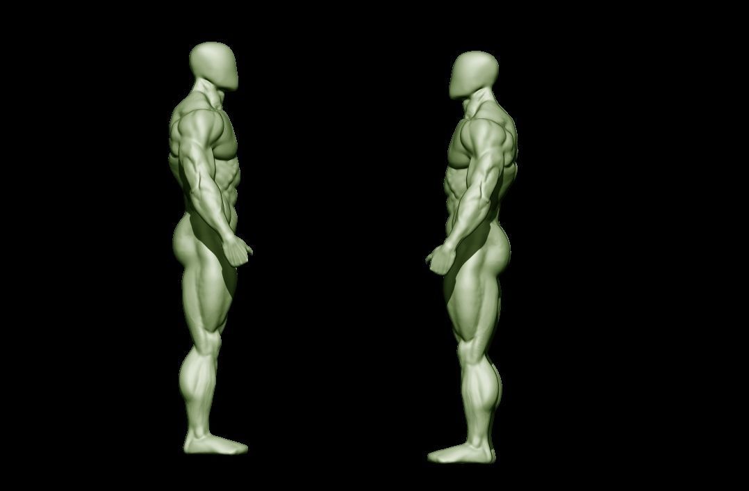 bodybuilder human body Low-poly 3D model_30