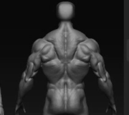 bodybuilder human body Low-poly 3D model_11