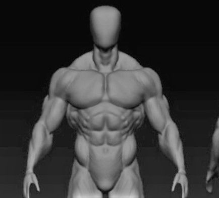 bodybuilder human body Low-poly 3D model_5
