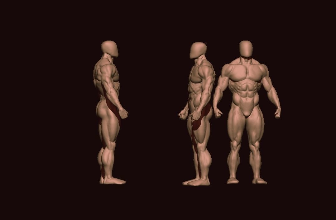 bodybuilder human body Low-poly 3D model_35