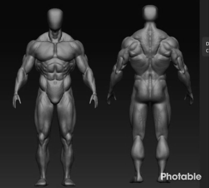 bodybuilder human body Low-poly 3D model_14