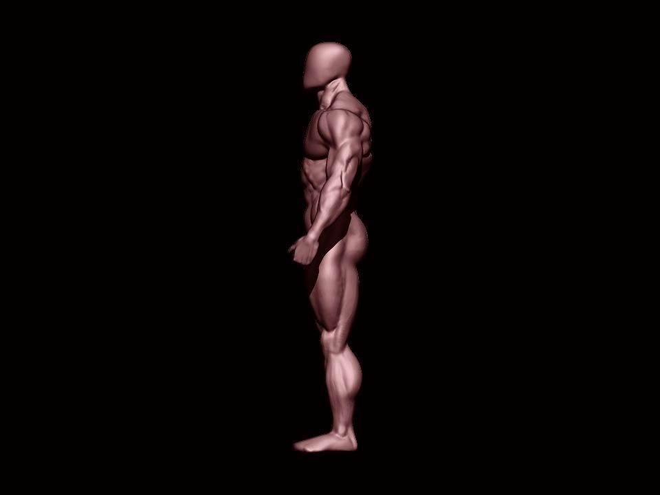 bodybuilder human body Low-poly 3D model_15