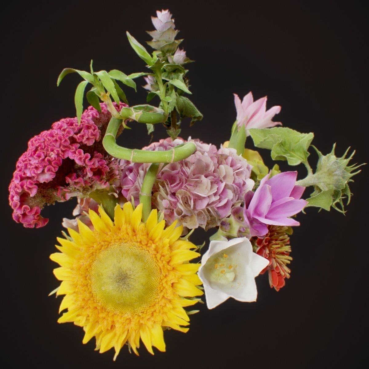 15 Flowers Collection _6