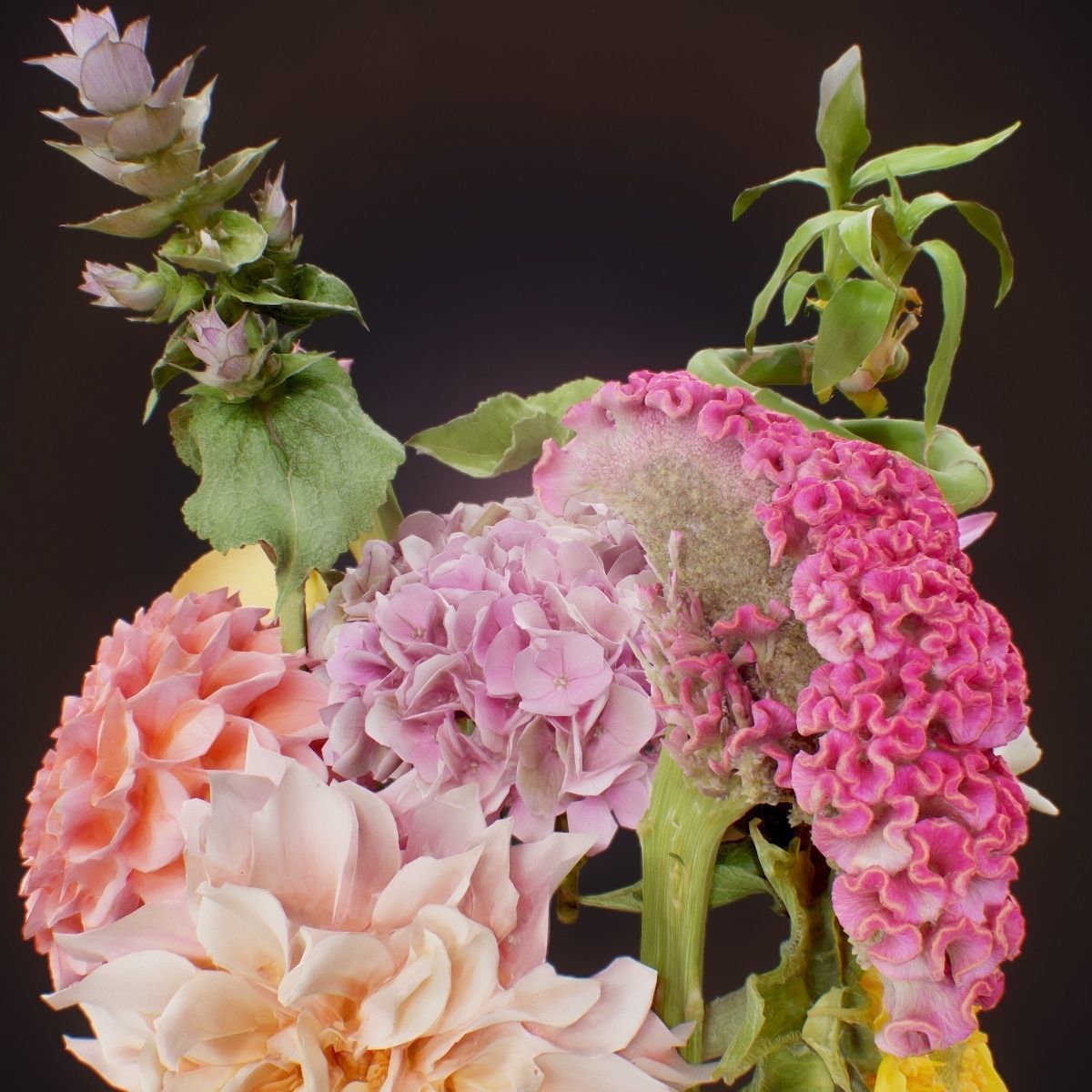 15 Flowers Collection _5