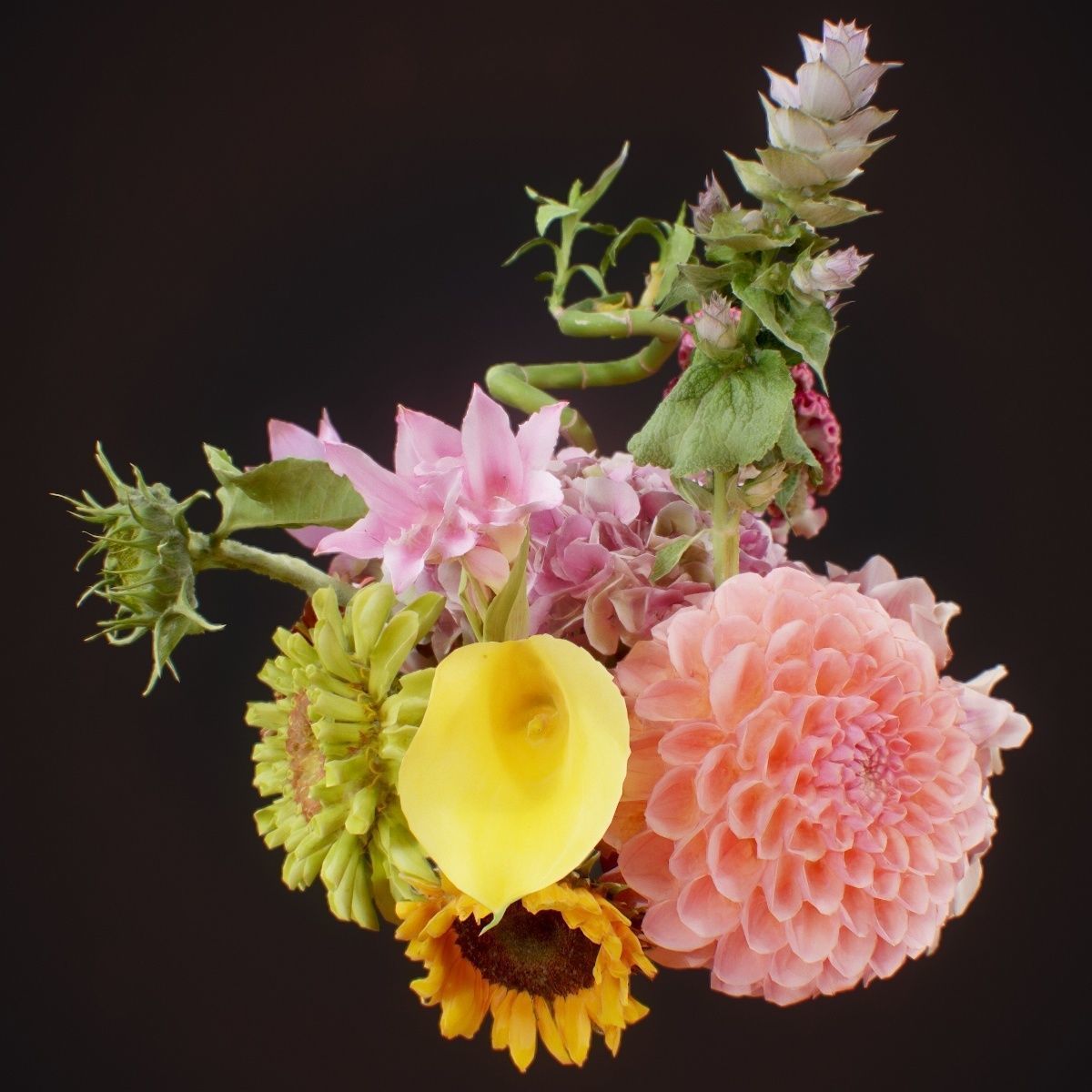 15 Flowers Collection _7