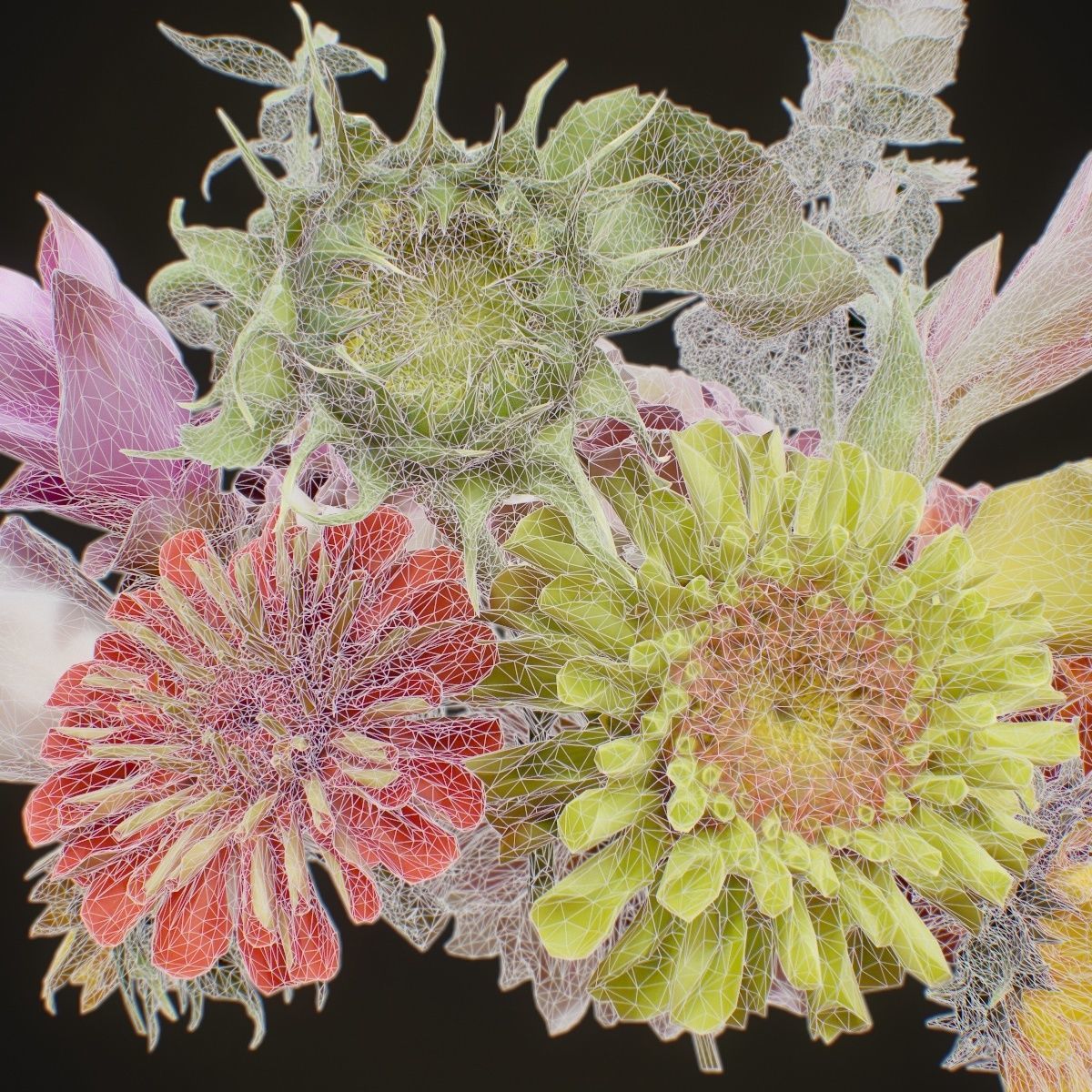 15 Flowers Collection _13