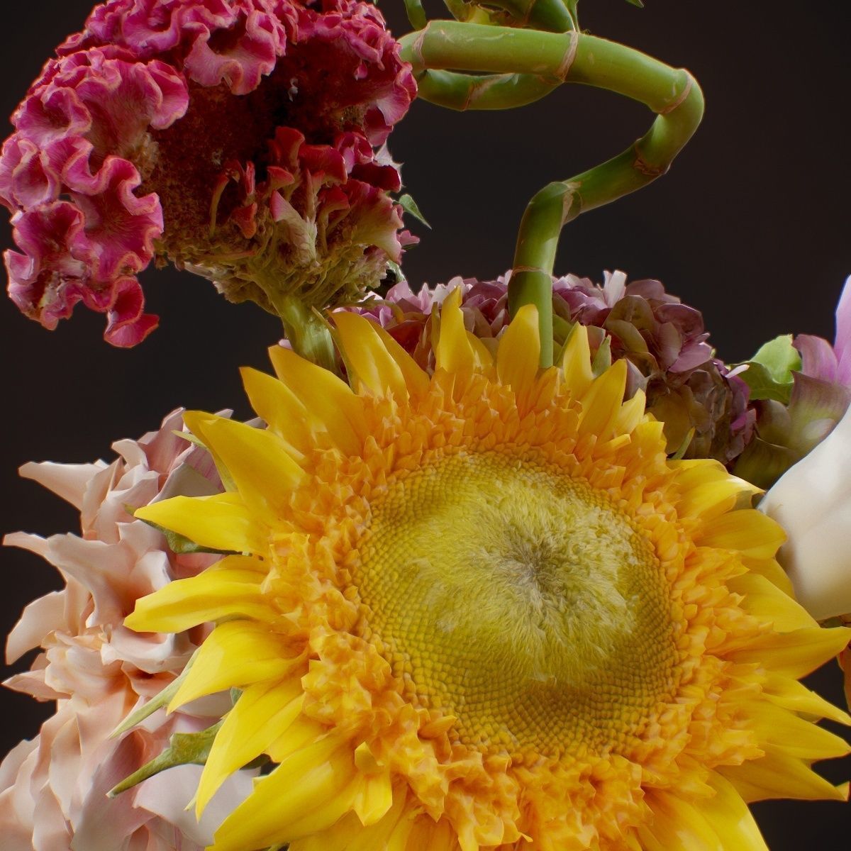 15 Flowers Collection _10