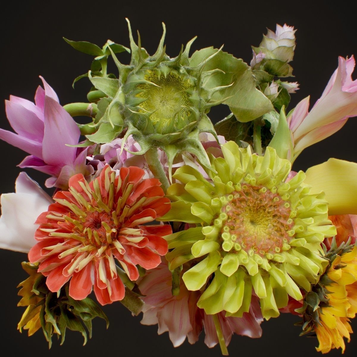 15 Flowers Collection _12