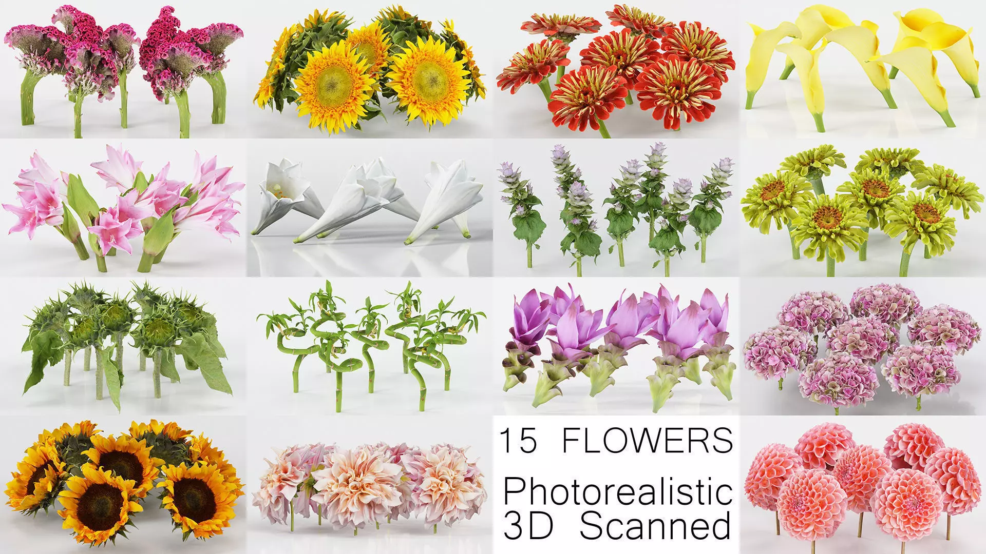 15 Flowers Collection _0