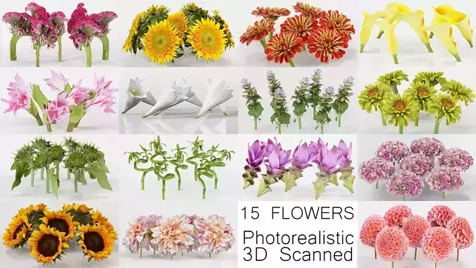 15 Flowers Collection 