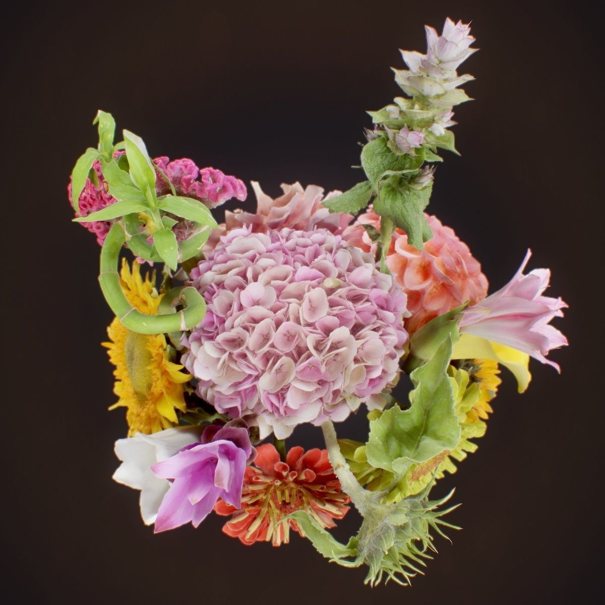 15 Flowers Collection _4