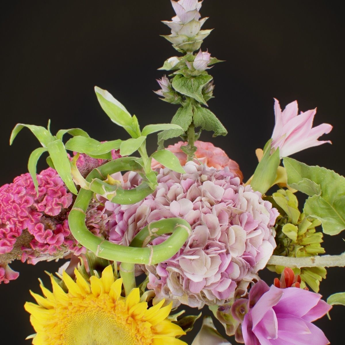 15 Flowers Collection _8