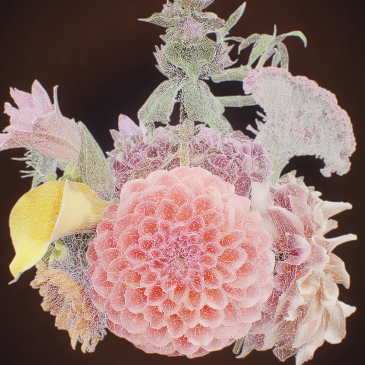 15 Flowers Collection _9