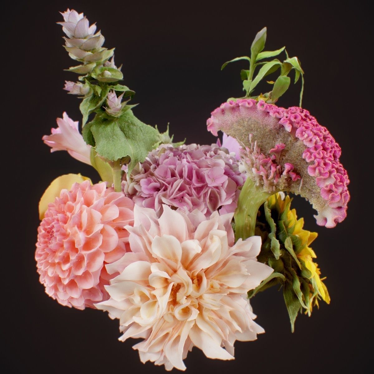 15 Flowers Collection _3