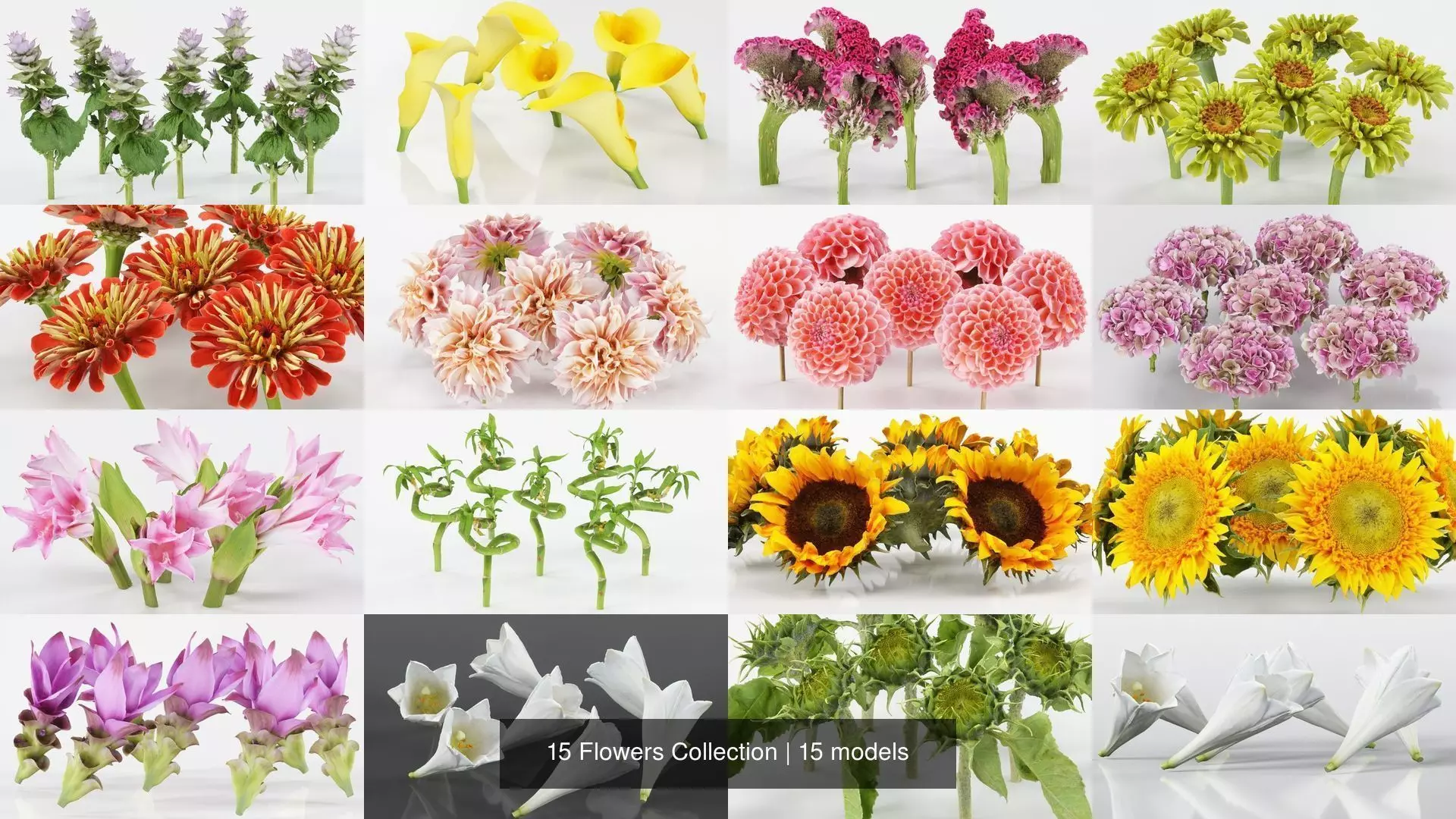 15 Flowers Collection _1