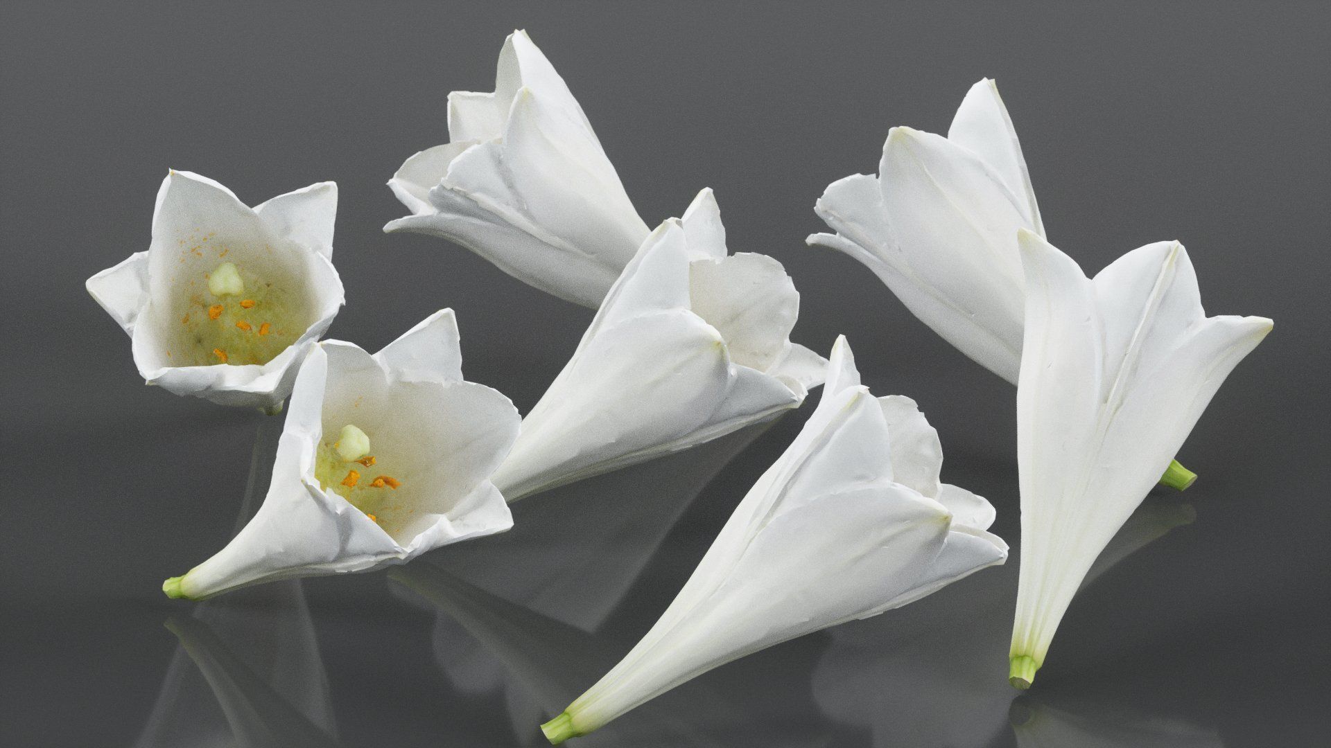 15 Flowers Collection _28