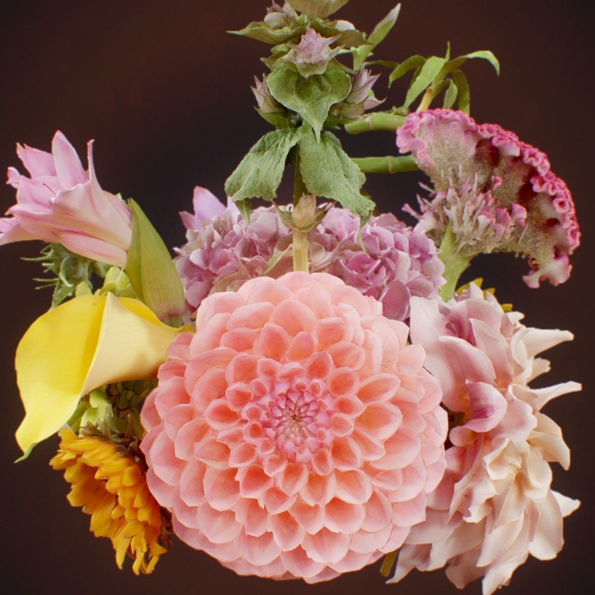 15 Flowers Collection _11