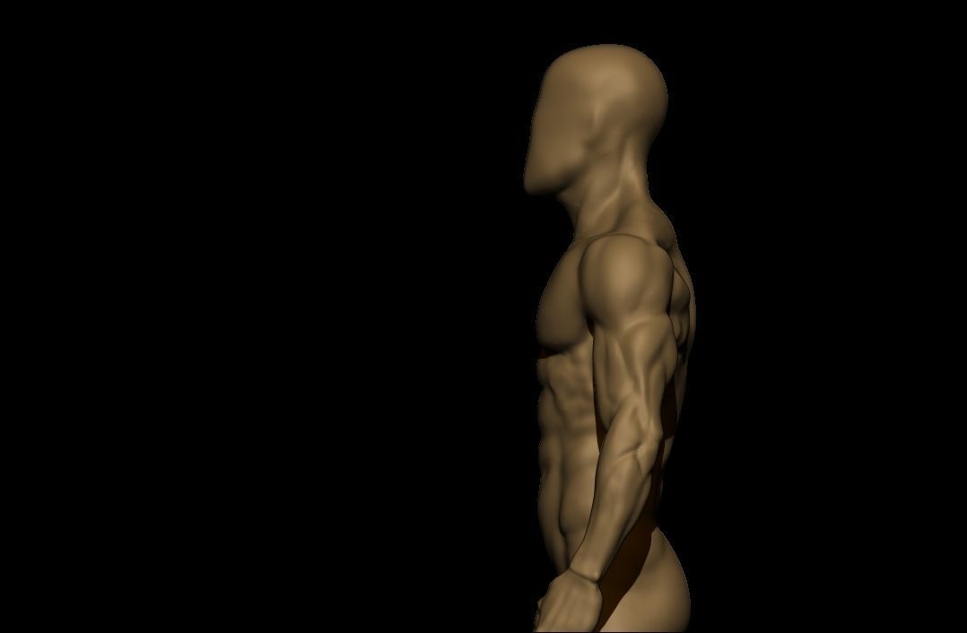 charctere anatomy  high poly  3D model_13