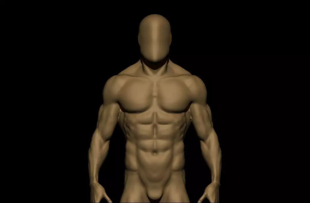 charctere anatomy  high poly  3D model_0