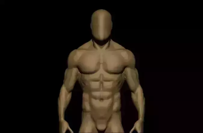 charctere anatomy  high poly  3D model