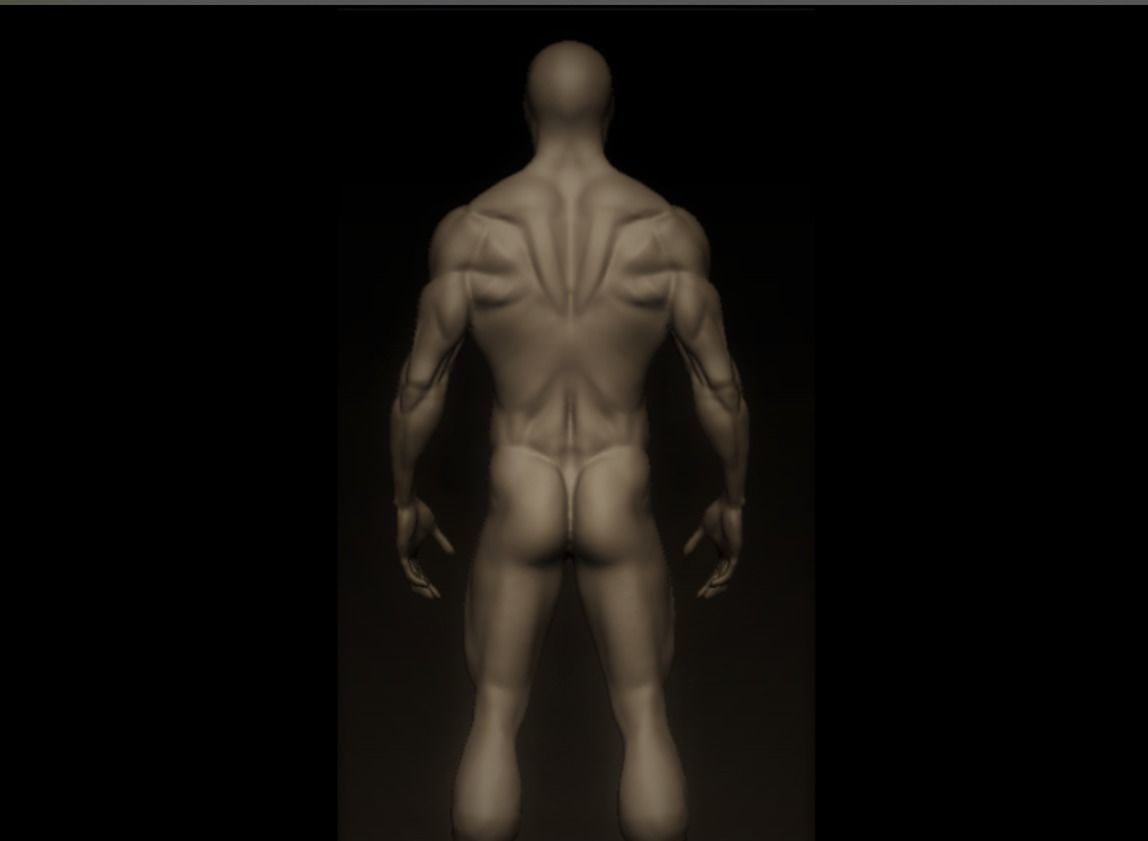 charctere anatomy  high poly  3D model_9