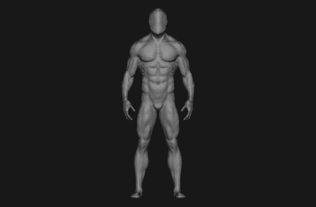 charctere anatomy  high poly  3D model_21