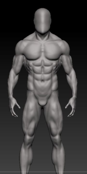 charctere anatomy  high poly  3D model_5