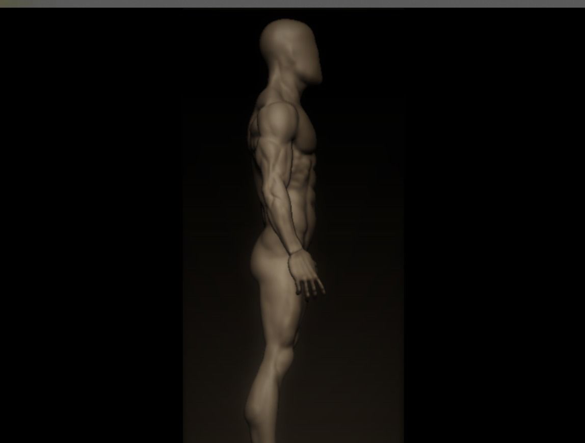 charctere anatomy  high poly  3D model_7