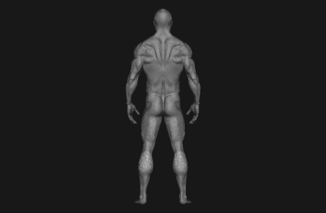 charctere anatomy  high poly  3D model_20