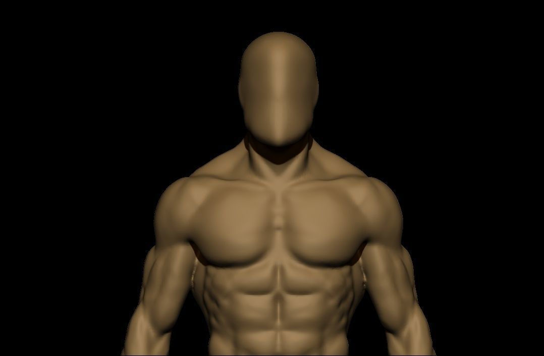 charctere anatomy  high poly  3D model_16