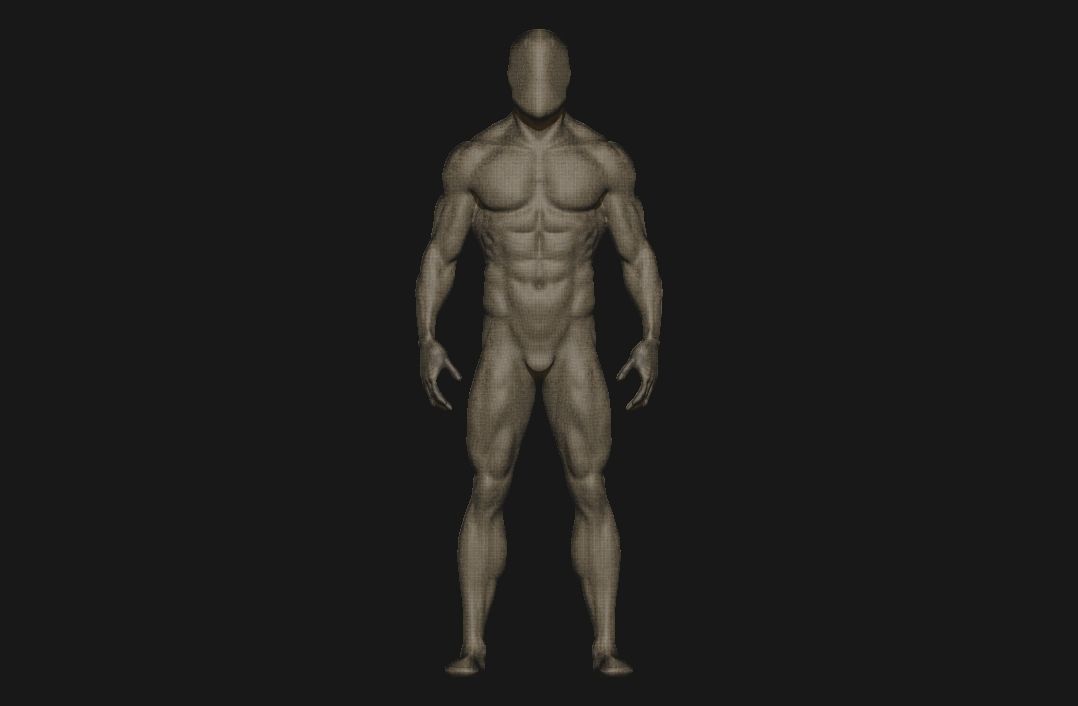 charctere anatomy  high poly  3D model_19