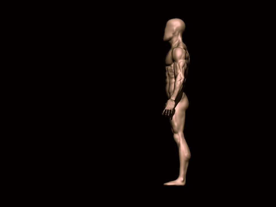 charctere anatomy  high poly  3D model_8