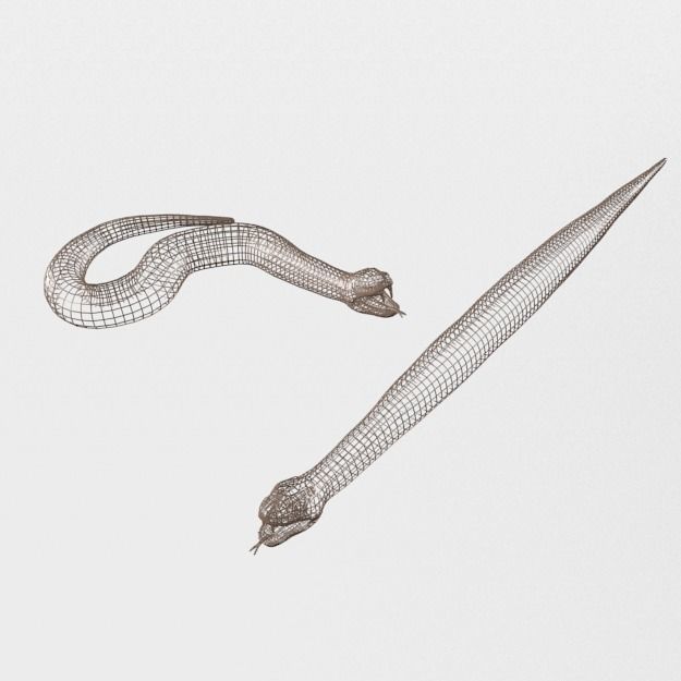 Python Snake Low-poly 3D model_4